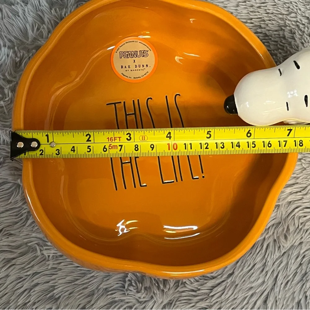 Rae Dunn x Peanuts Halloween Dog Bowl - Picture 7 of 8